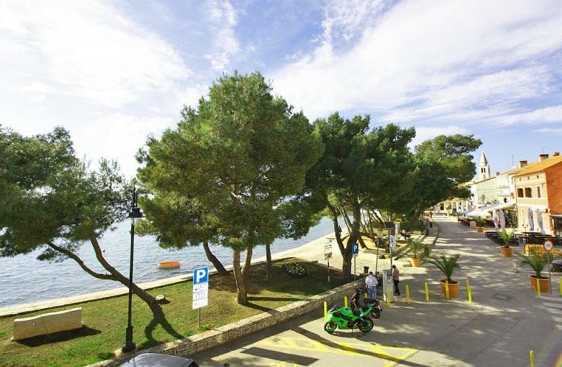 Apartman Petra Daire Fažana Dış mekan fotoğraf
